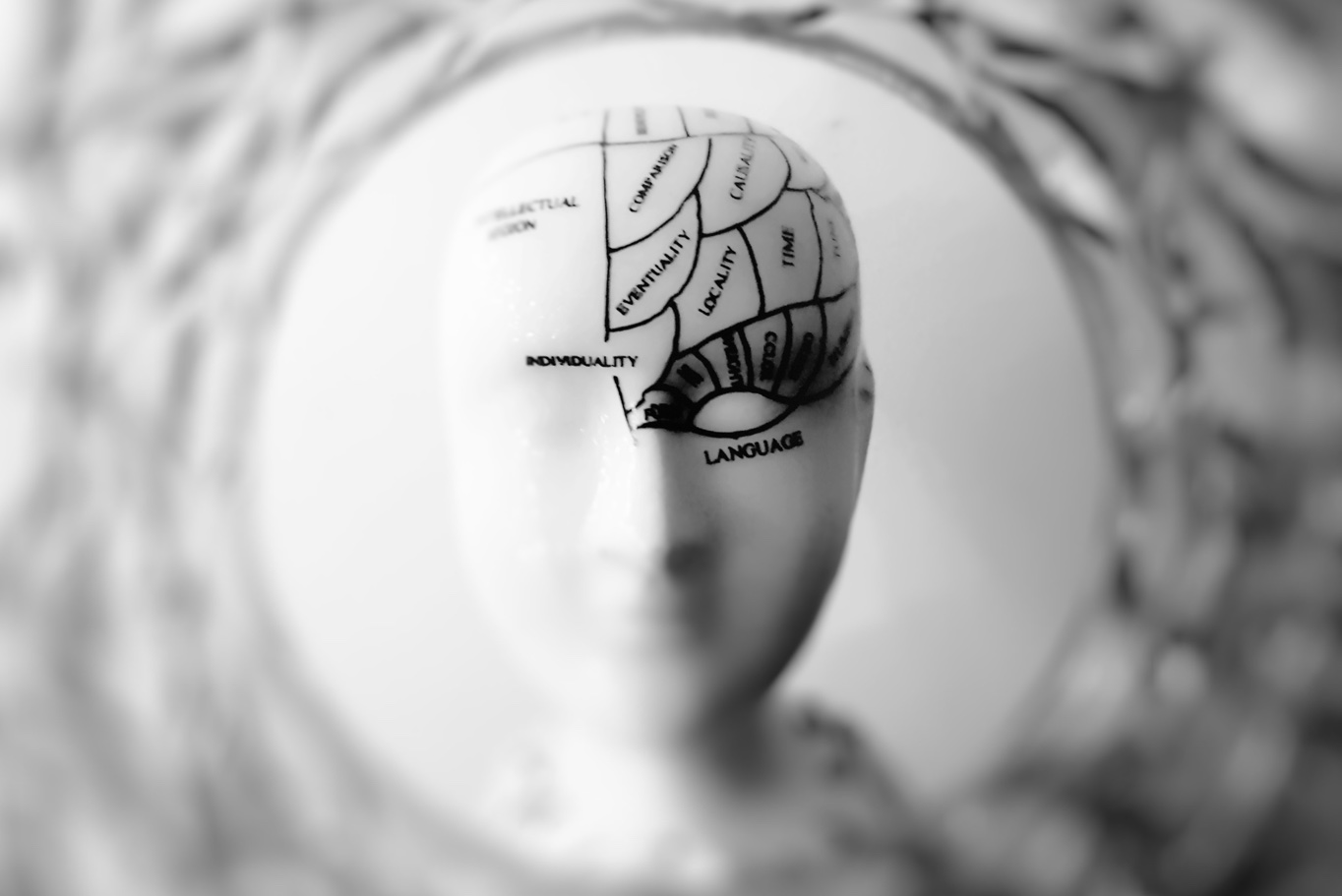 Theories, Principles, Models of Learning
