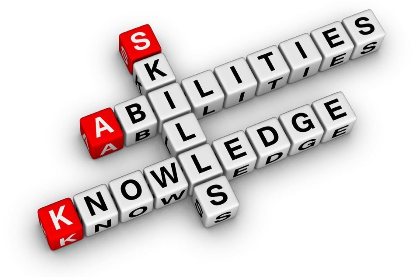The Skills and Qualities Required for a Personal Tutoring Role