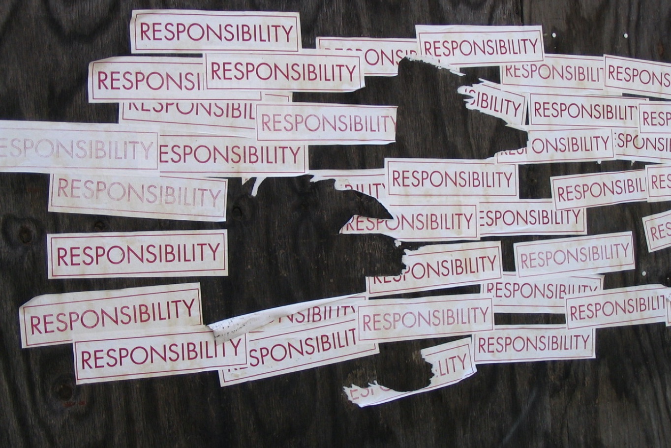Why it is Important that Learners Take Responsibility For Their Own Learning