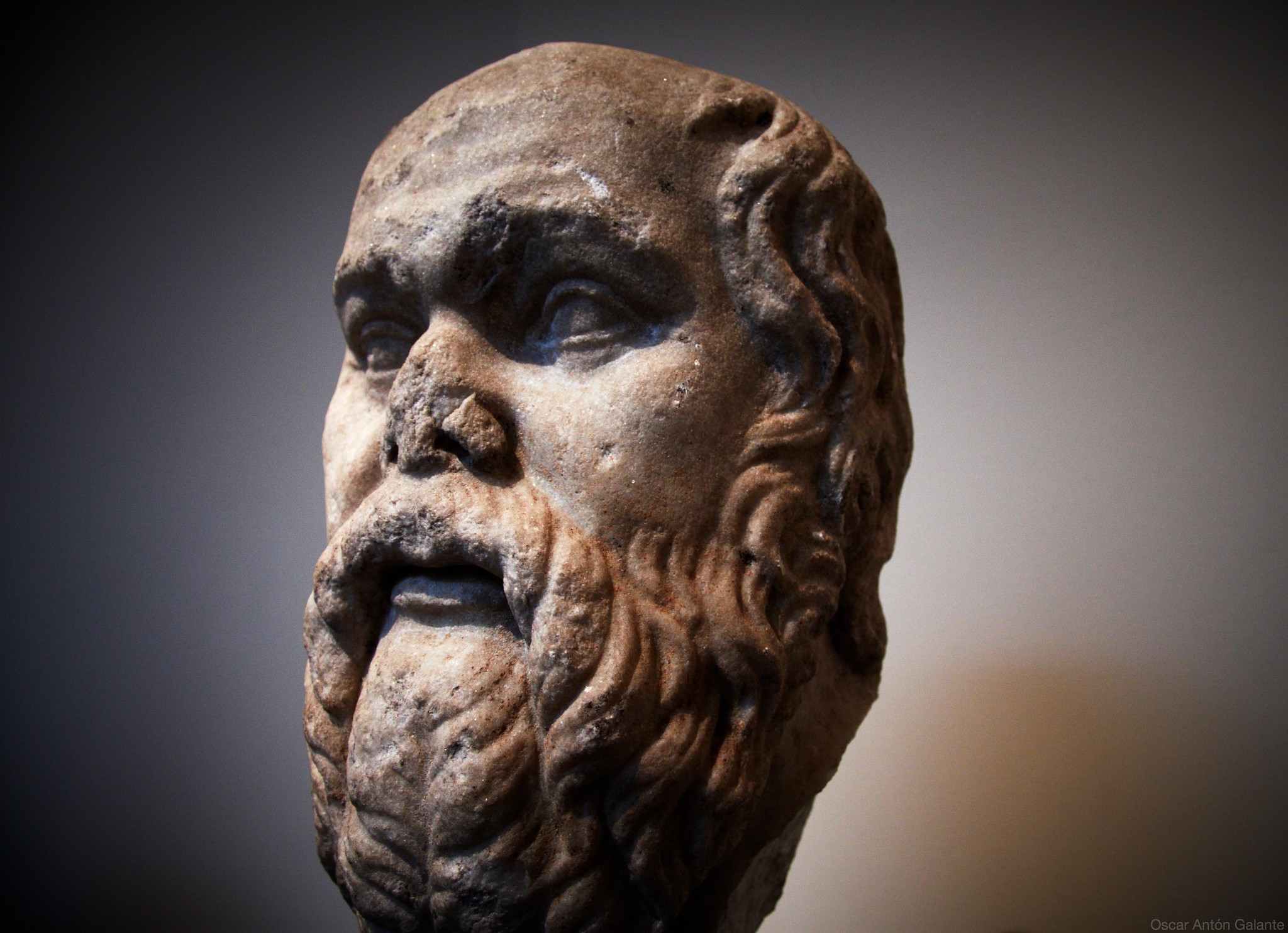 The Socratic Method Dialectic
