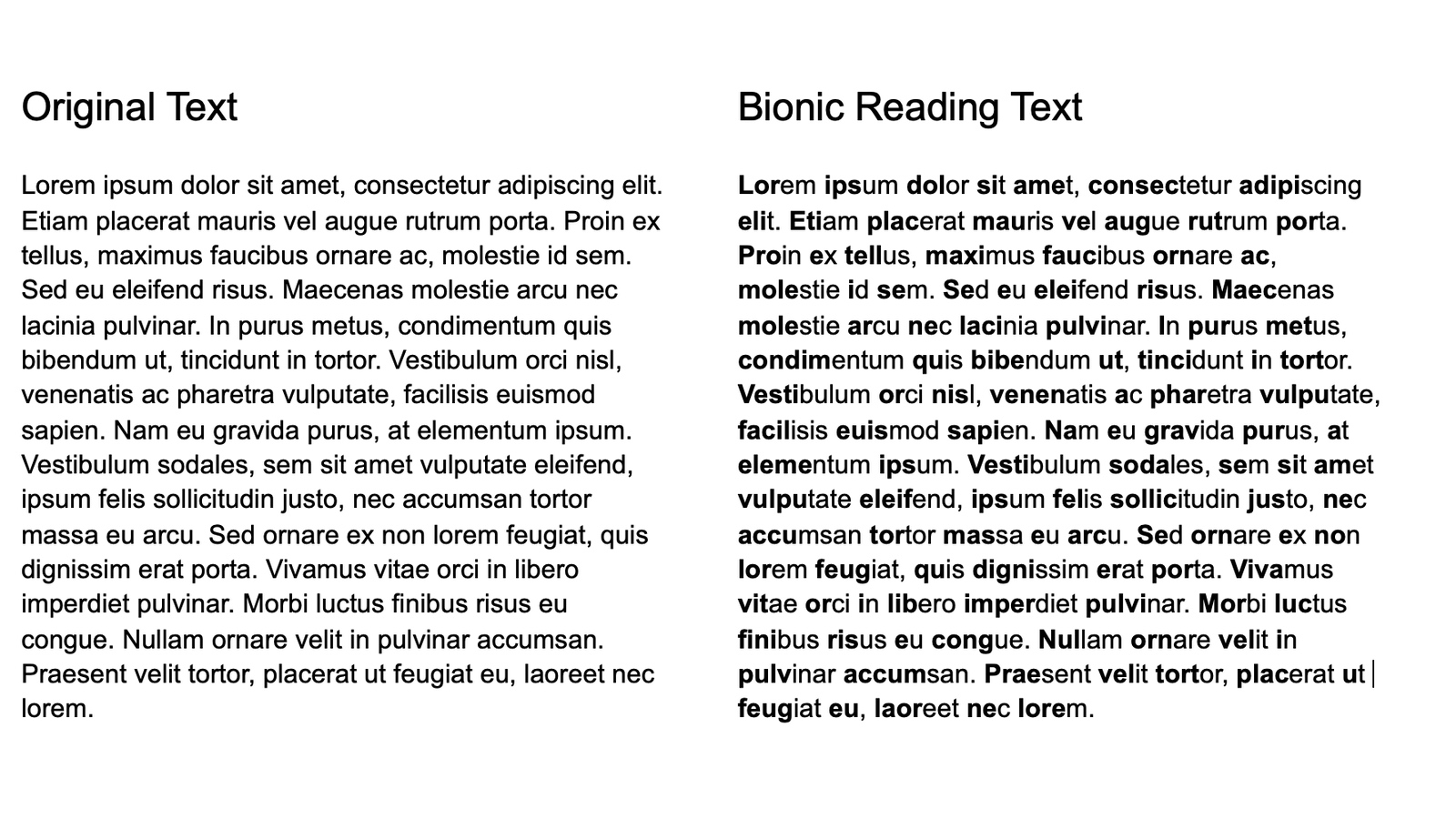 Bionic Reading Method